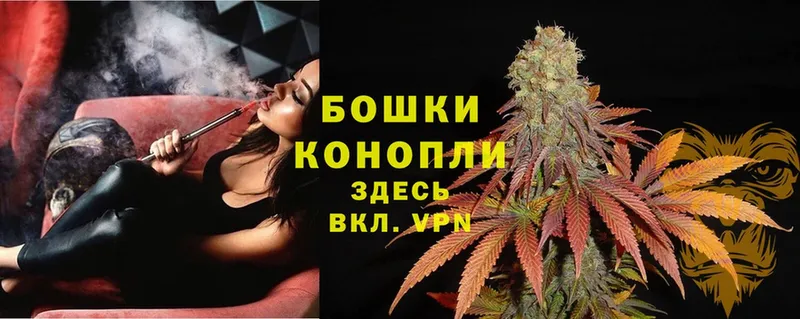 что такое   Гремячинск  Каннабис SATIVA & INDICA 